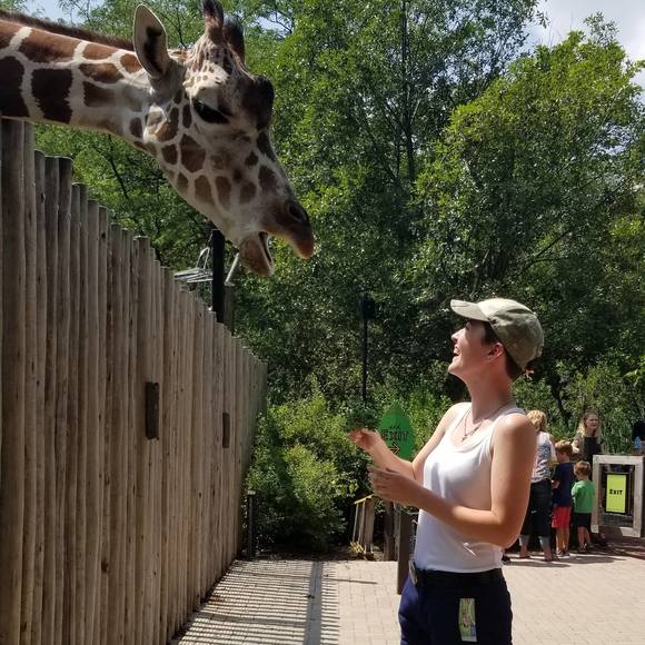 Meet your Posher, Sam - Picture 1 of 1